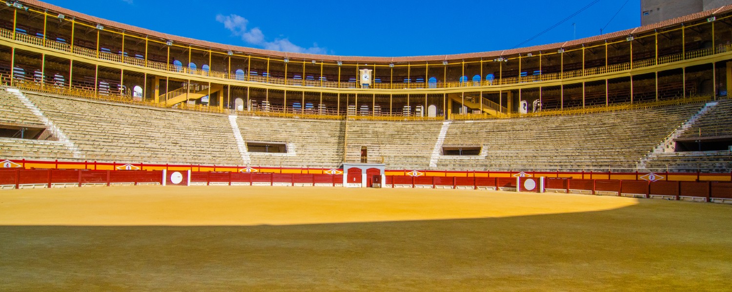 lugares plaza de toros 3  alicante.jpg