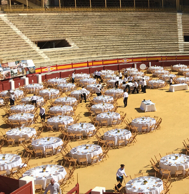 PLAZA TOROS ALICANTE lugares singulares .png